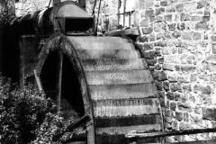 Alte-Muhle-Dummlinghsn.-ca.-1970