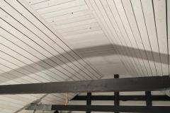 IMG-20230803-WA0005